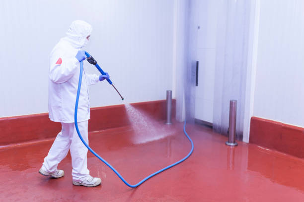 Best Solar Panel Cleaning  in Westminster, SC